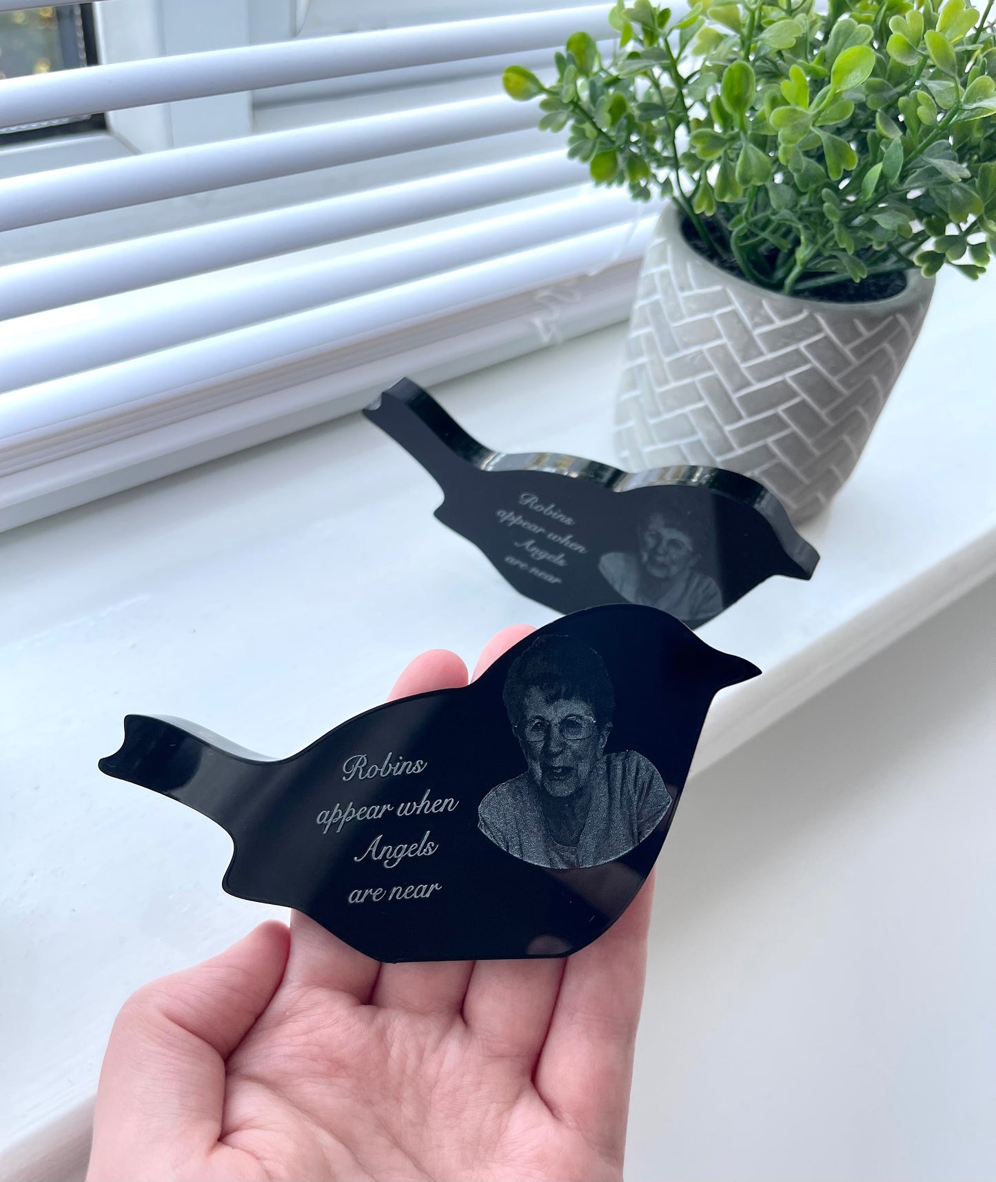 Engraved robin