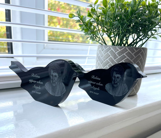 Engraved robin