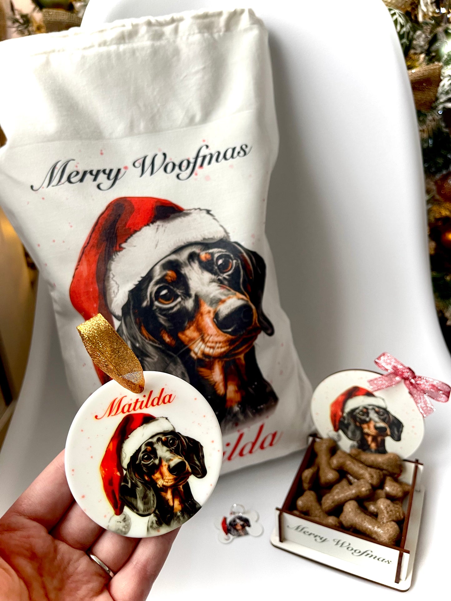 Christmas pet bundle